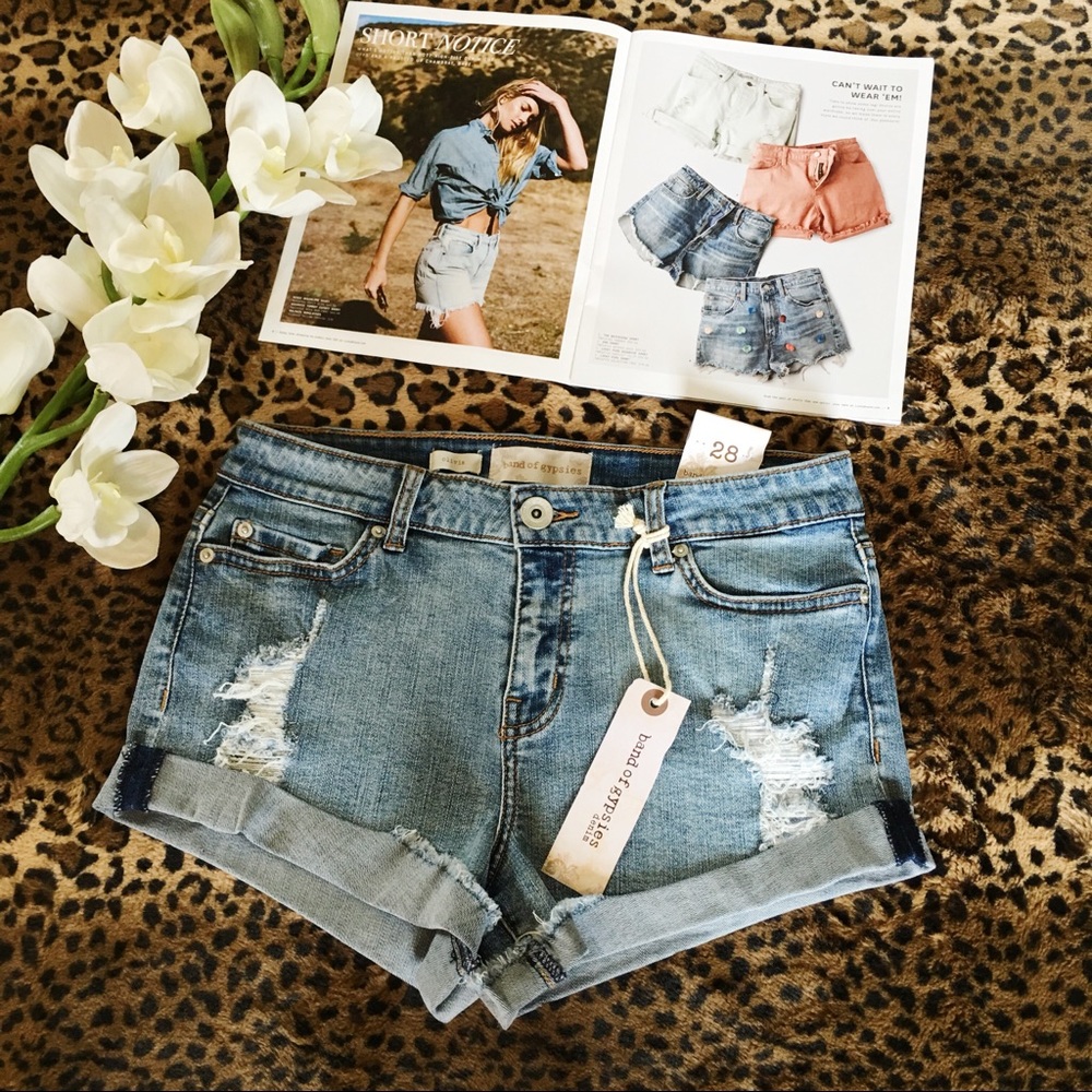 Band of gypsies denim